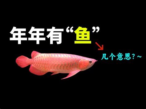 魚意思|⿂